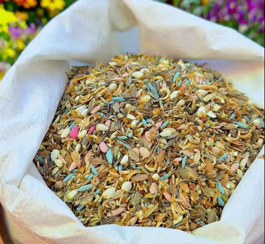 Spring Bloom Bonanza 🌺 60+ Garden Flower Seeds - Growing into Shasta Daisy, Cornflower, Sunflower, Zinnia, Lavender