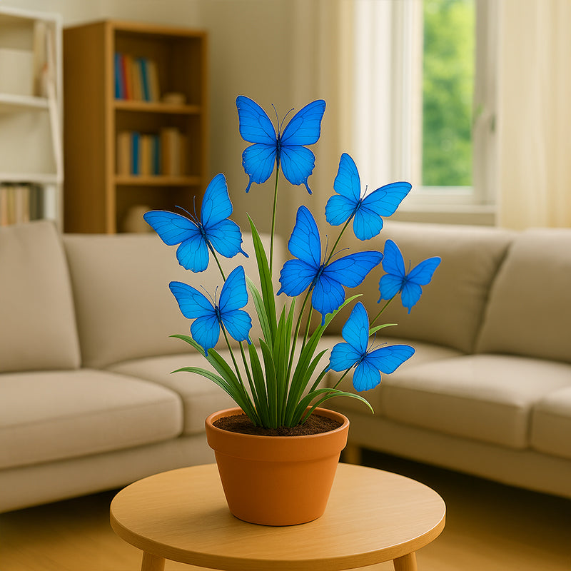 π¦ Dreamy Flower Seeds π¦πΊ Cultivated and Shipped from Australia