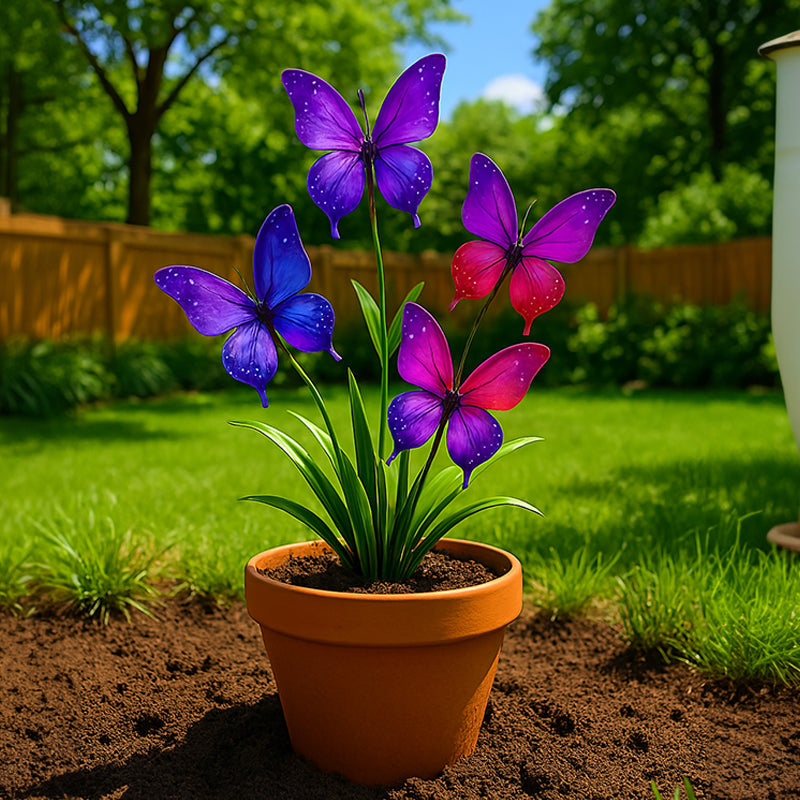 π¦ Dreamy Flower Seeds π¦πΊ Cultivated and Shipped from Australia