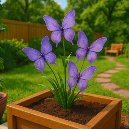🦋 Dreamy Flower Seeds 🇦🇺 Cultivated and Shipped from Australia