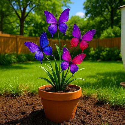 🦋 Dreamy Flower Seeds 🇦🇺 Cultivated and Shipped from Australia